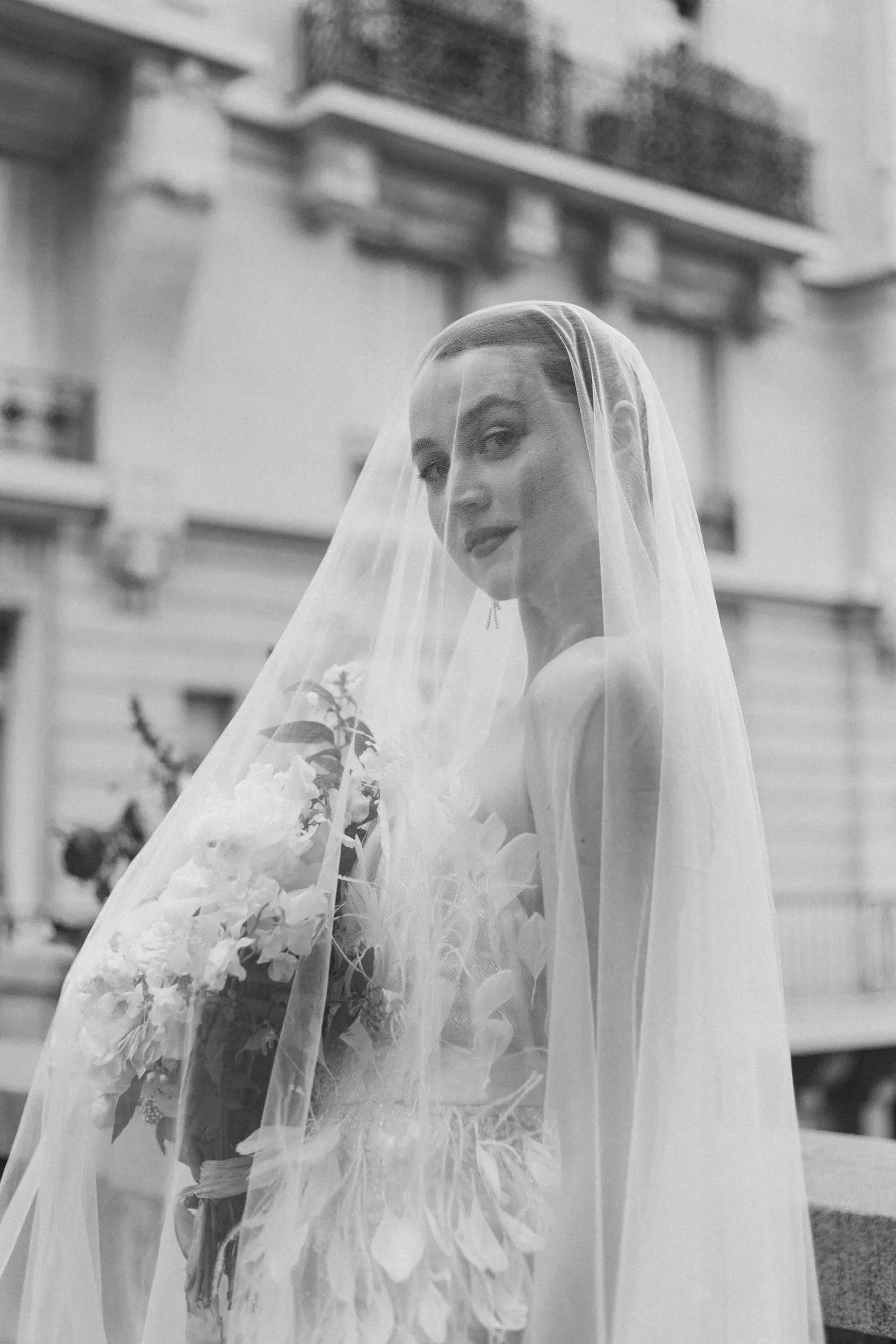 A blurry photo of white flowers in a field